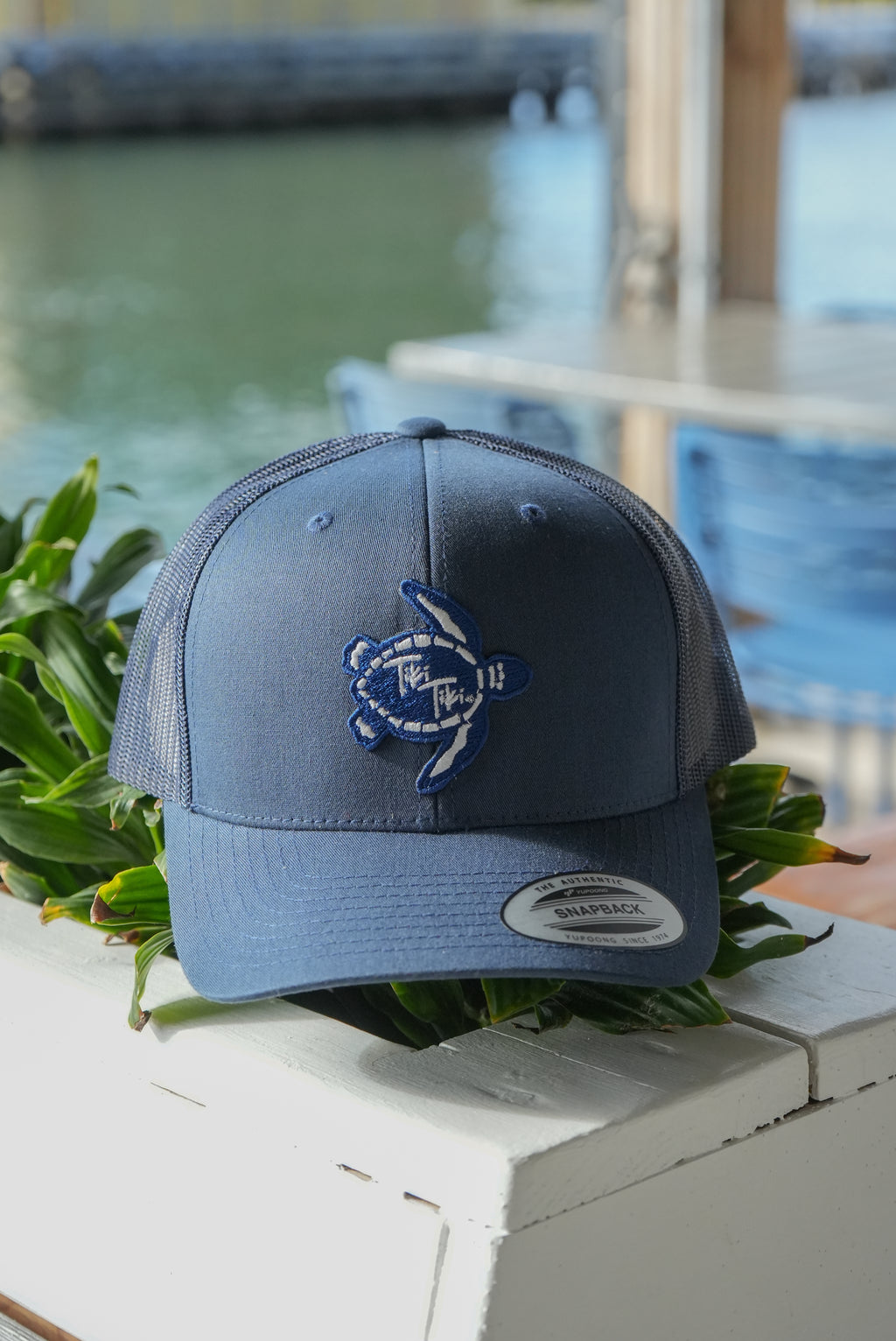 Turtle Trucker Hat