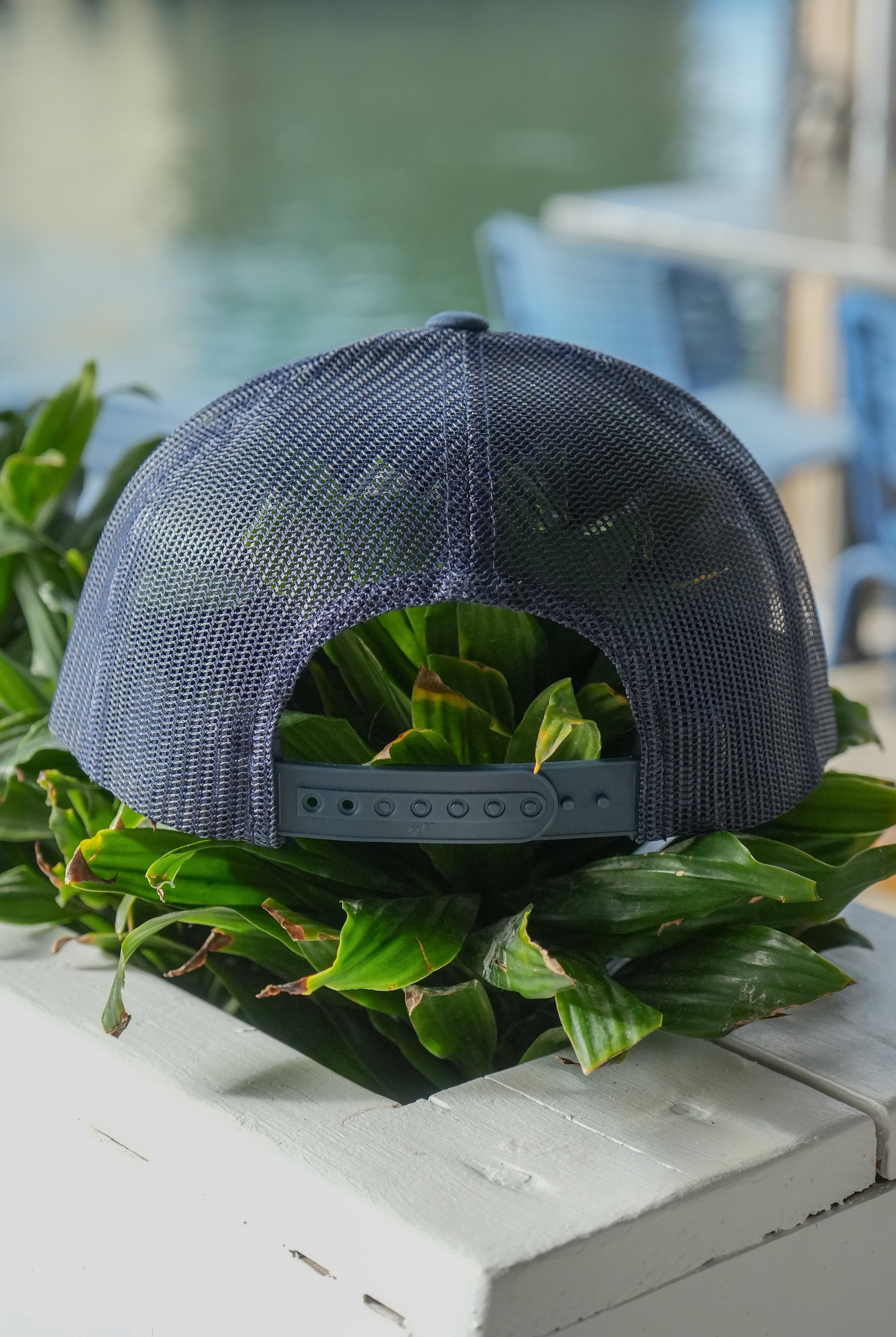Turtle Trucker Hat